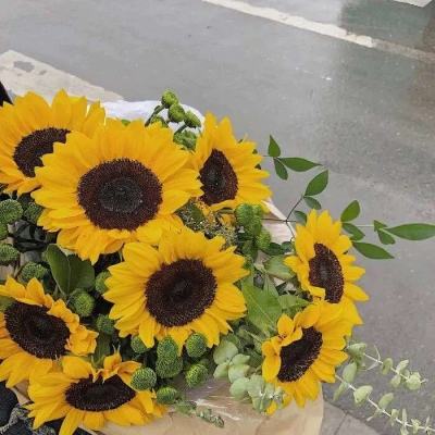 leyu·乐鱼(中国)体育