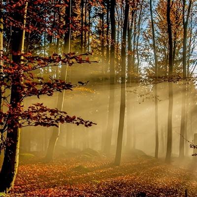 beat365体育ios版下载