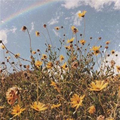 beat365官方app最新版