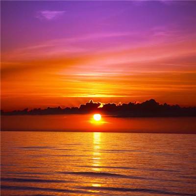 金沙娱场城官网入口网址下载