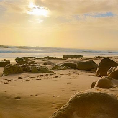 澳门金沙扫码下载截图