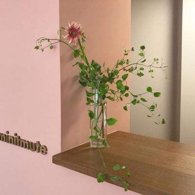 牛牛游戏网手机app下载