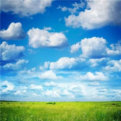 pg麻将胡了下载截图